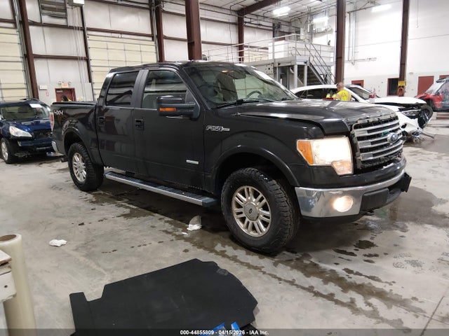 Salvage Ford F-150 Image