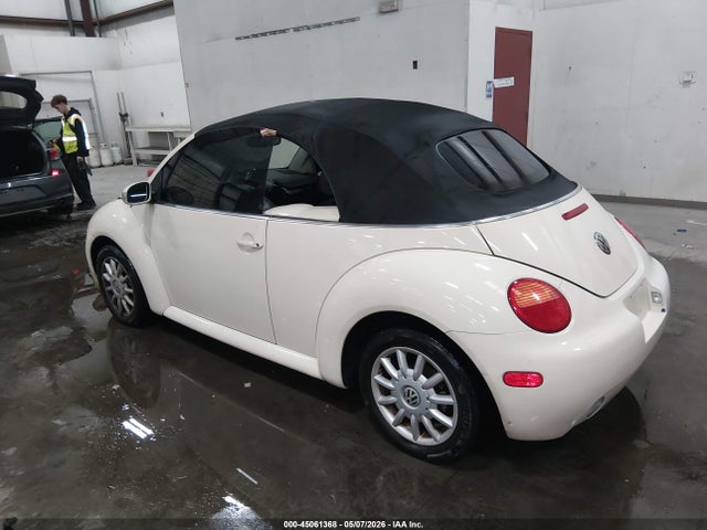 Volkswagen Beetle Gls