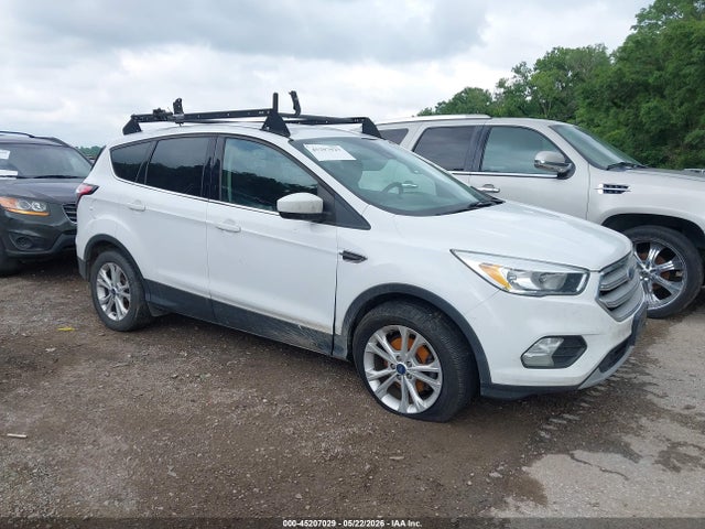 Salvage Ford Escape Image