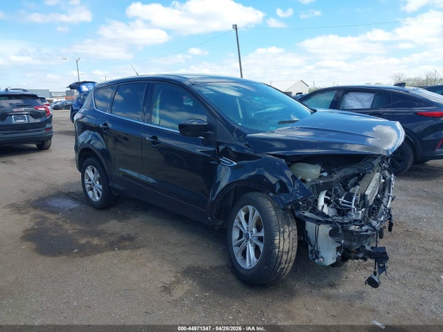 Salvage Ford Escape Image
