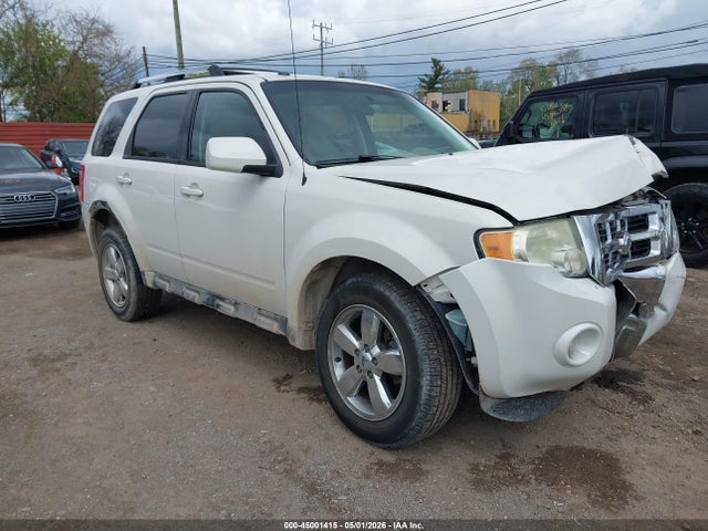 Salvage Ford Escape Image