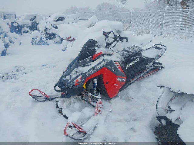 Polaris Pro rmk 850
