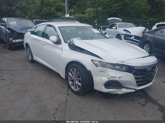 Salvage Honda Accord Image