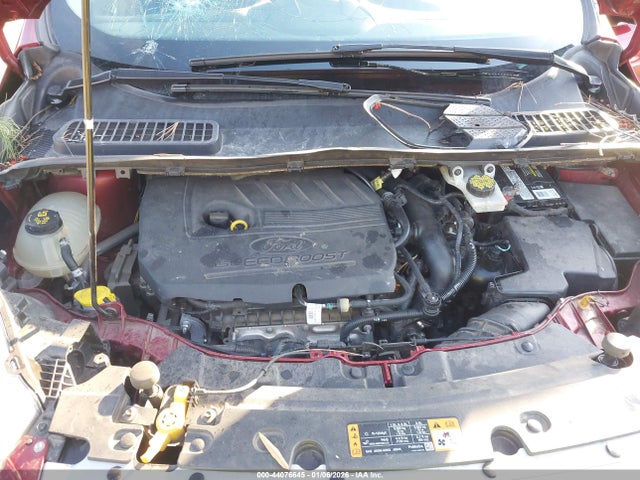 Ford Escape Se