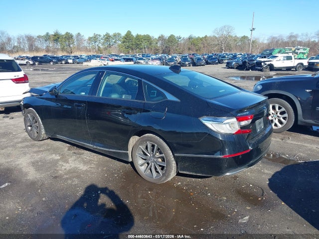 Honda Accord Ex-l