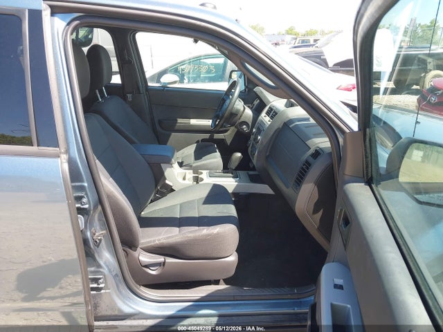 Ford Escape Xlt