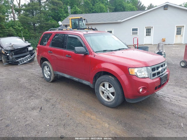 Salvage Ford Escape Image