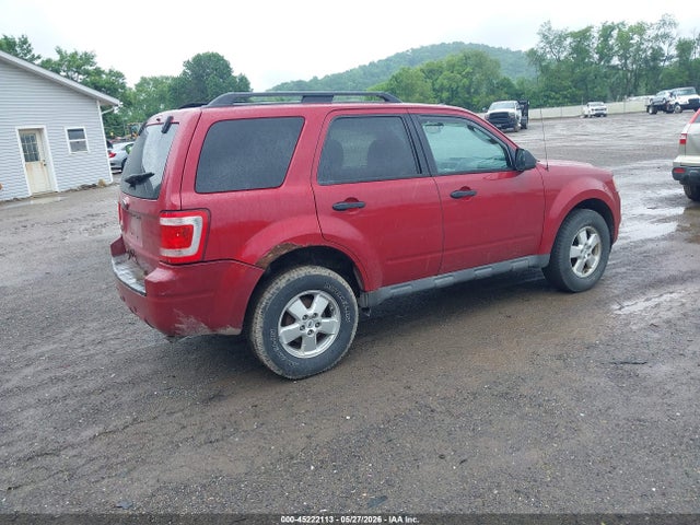 Ford Escape Xlt