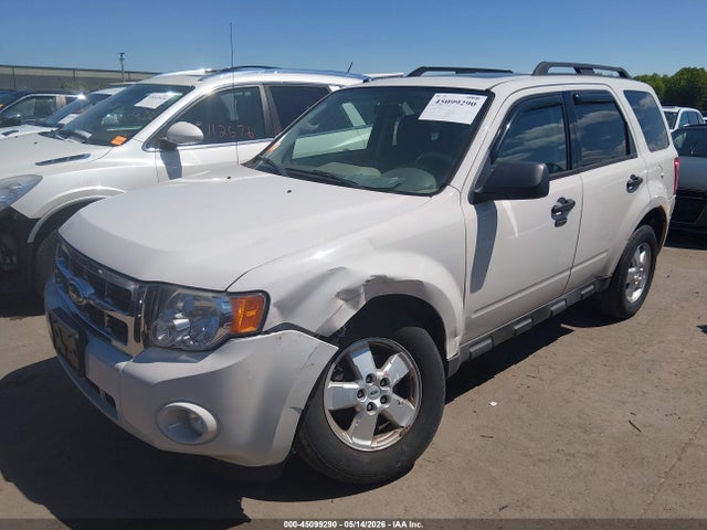 Ford Escape Xlt