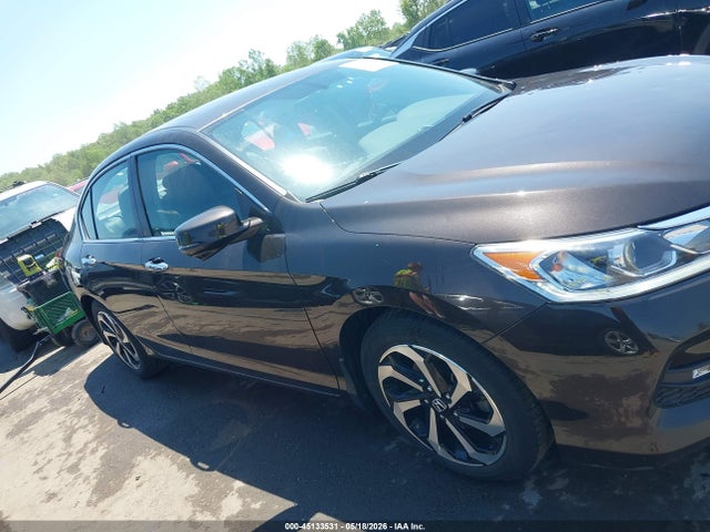 Honda Accord Ex-l
