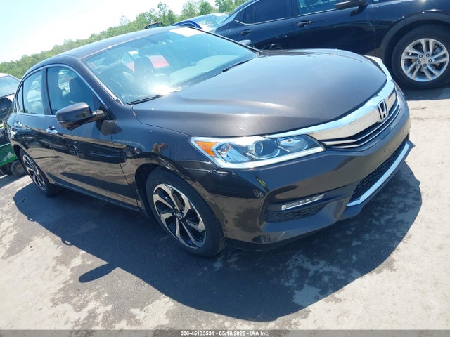 Salvage Honda Accord Image