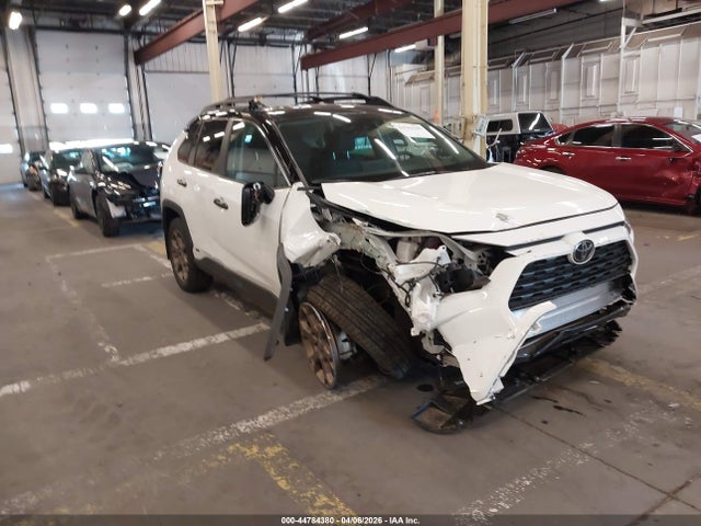 Salvage Toyota RAV4 Image