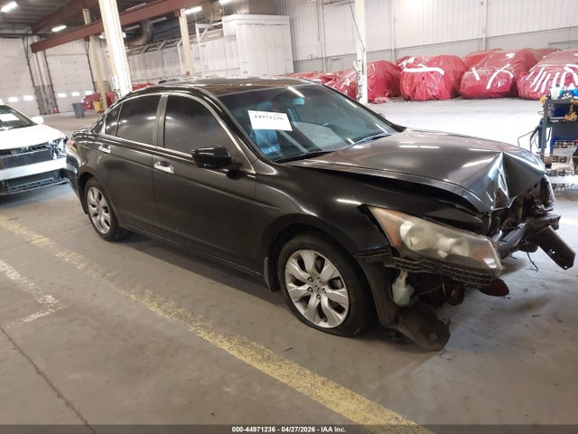 Salvage Honda Accord Image