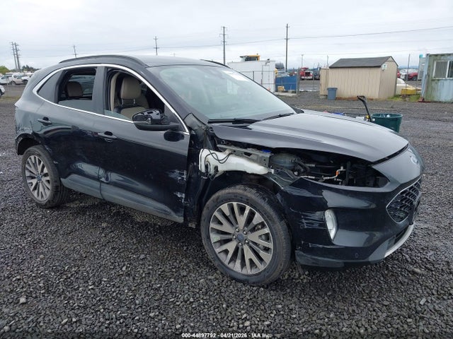 Salvage Ford Escape Image