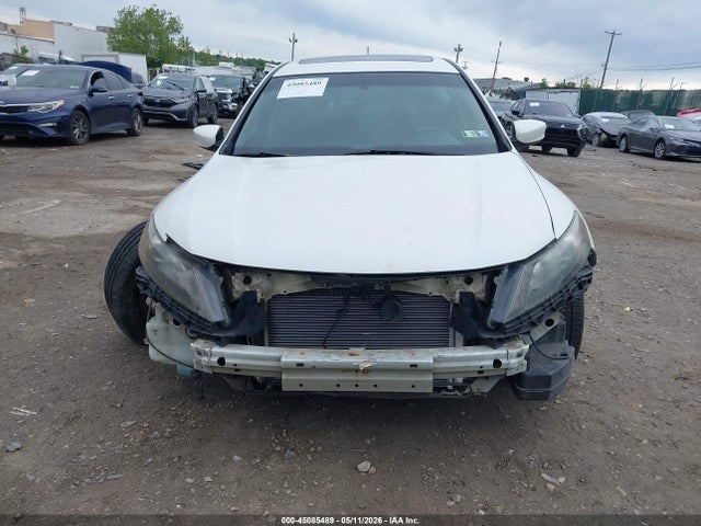 Honda Accord Ex-l