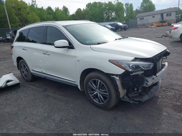 Salvage INFINITI Qx Image