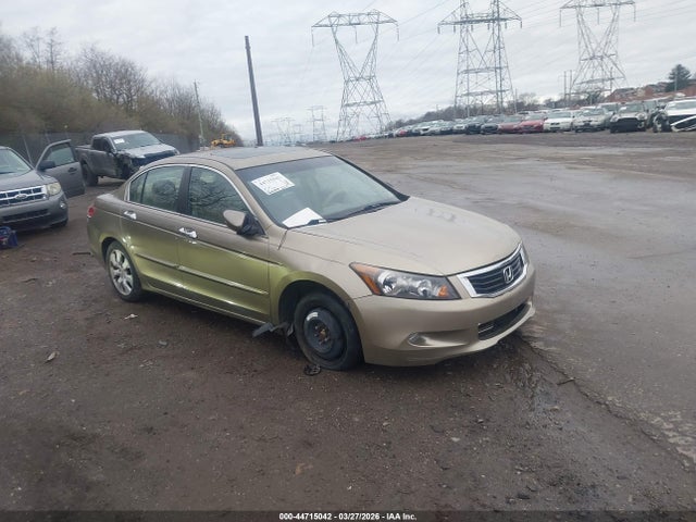 Salvage Honda Accord Image