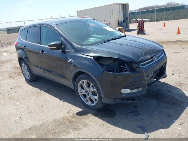 Salvage Ford Escape Image