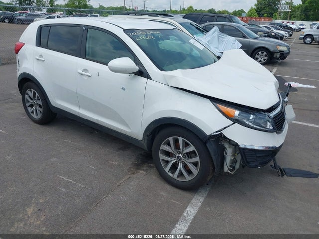 Salvage Kia Sportage Image