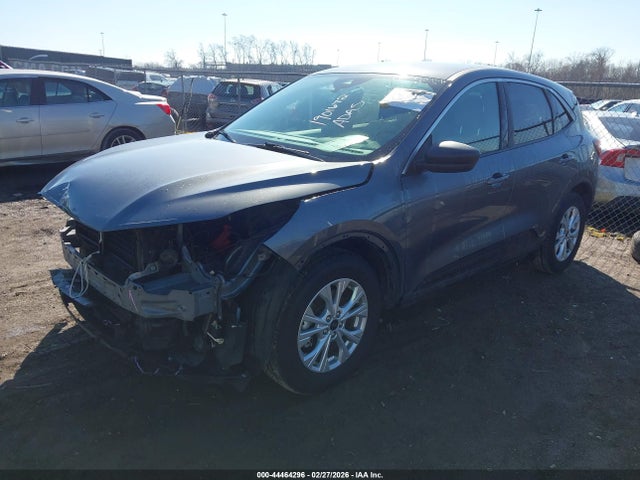 Ford Escape Active