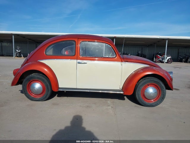 Volkswagen Beetle
