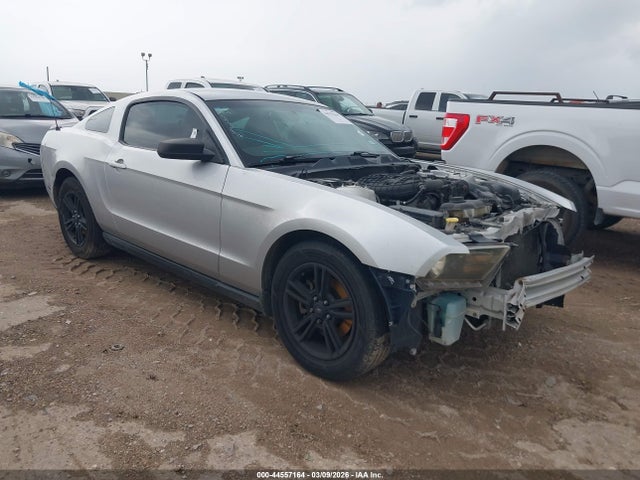 Salvage Ford Mustang Image