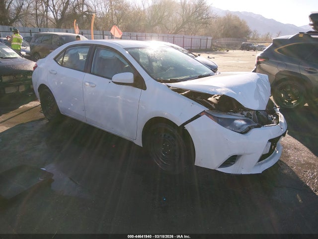 Salvage Toyota Corolla Image