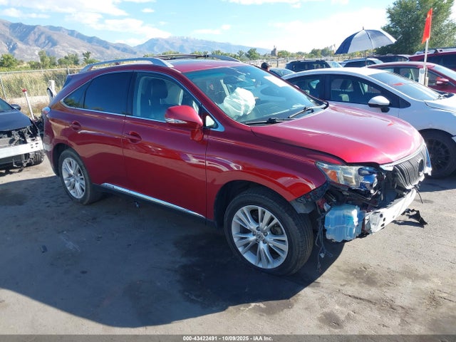 Salvage Lexus RX Image