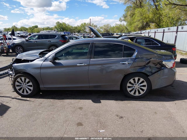 Honda Accord Ex-l