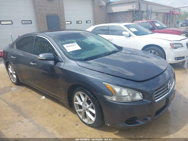 Salvage Nissan Maxima Image