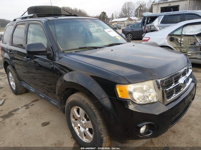 Salvage Ford Escape Image