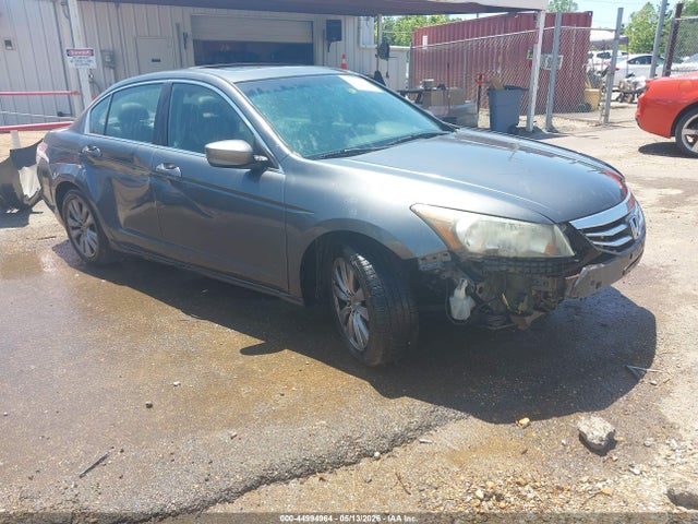 Salvage Honda Accord Image