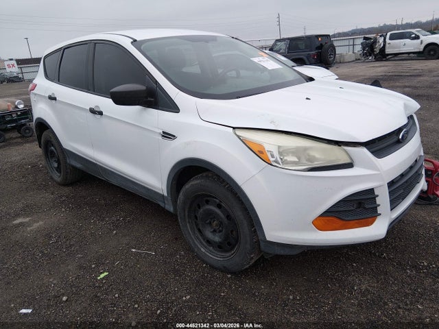 Salvage Ford Escape Image