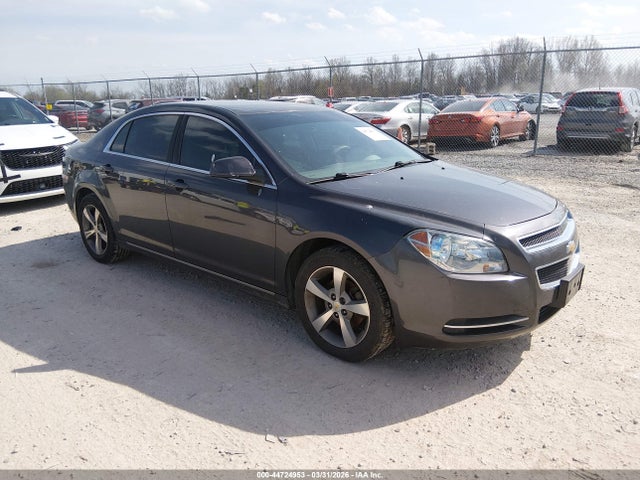 Salvage Chevrolet Malibu Image