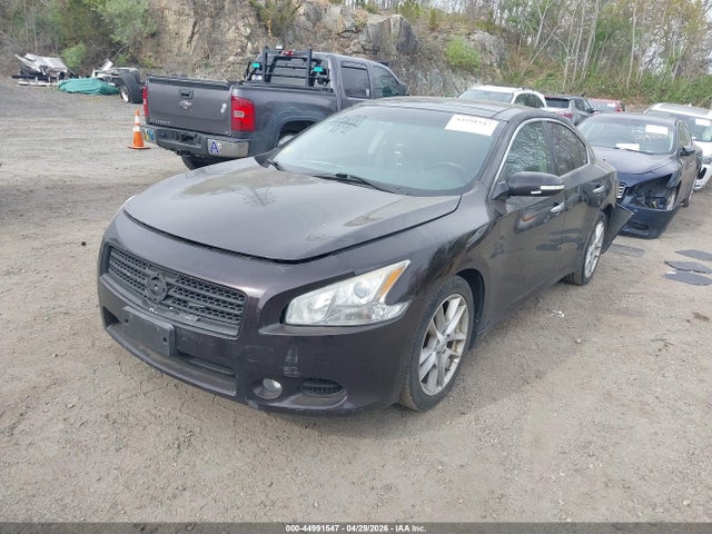 Nissan Maxima 3.5 Sv