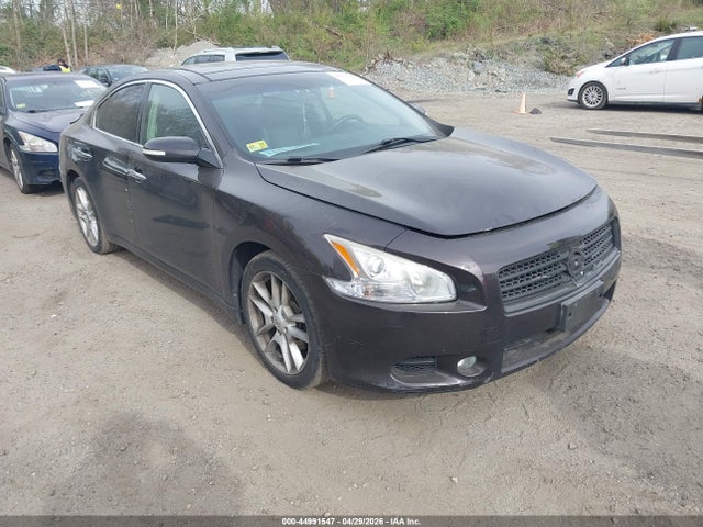 Salvage Nissan Maxima Image