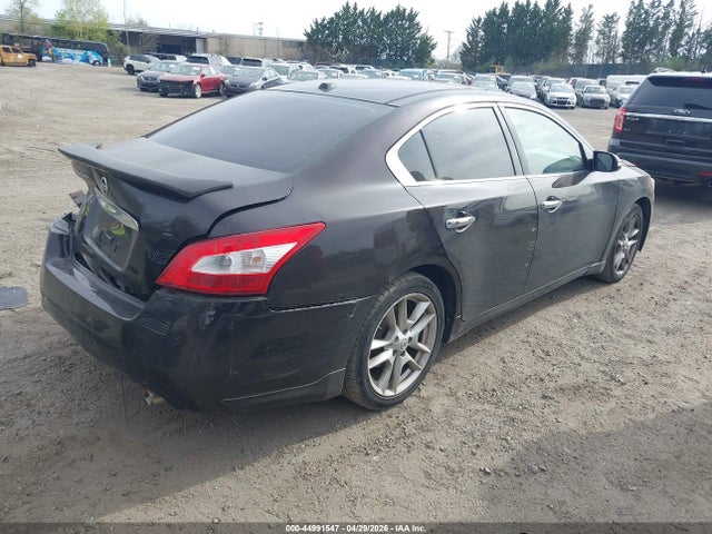 Nissan Maxima 3.5 Sv