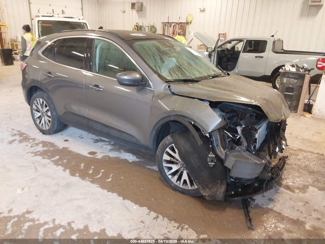 Salvage Ford Escape Image