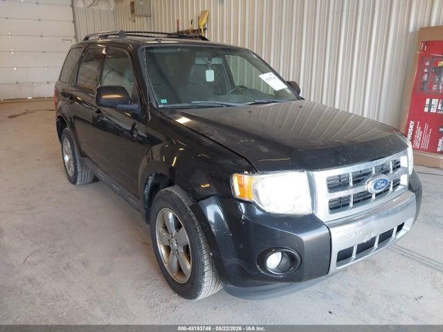 Salvage Ford Escape Image