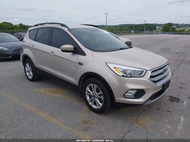 Salvage Ford Escape Image