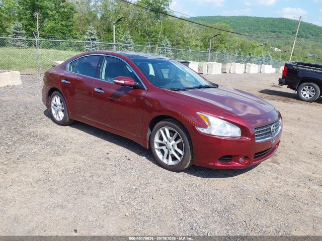 Salvage Nissan Maxima Image