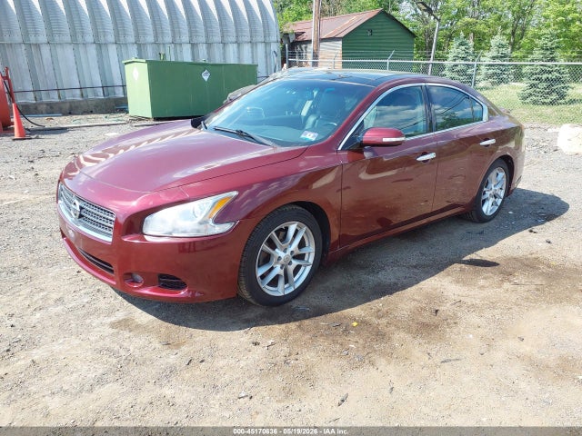 Nissan Maxima 3.5 Sv