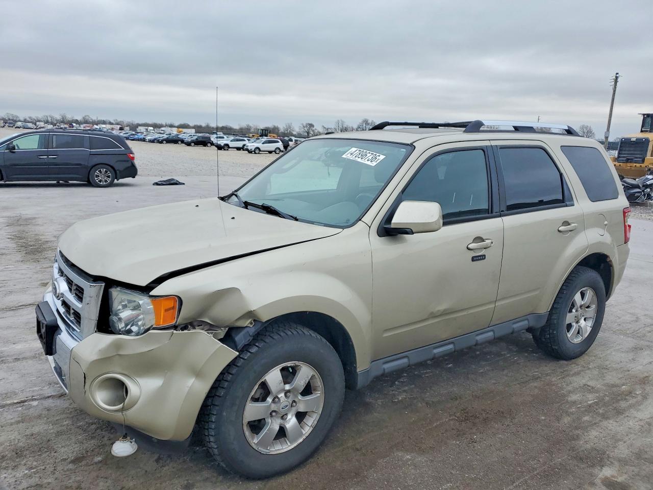 Salvage Ford Escape Image