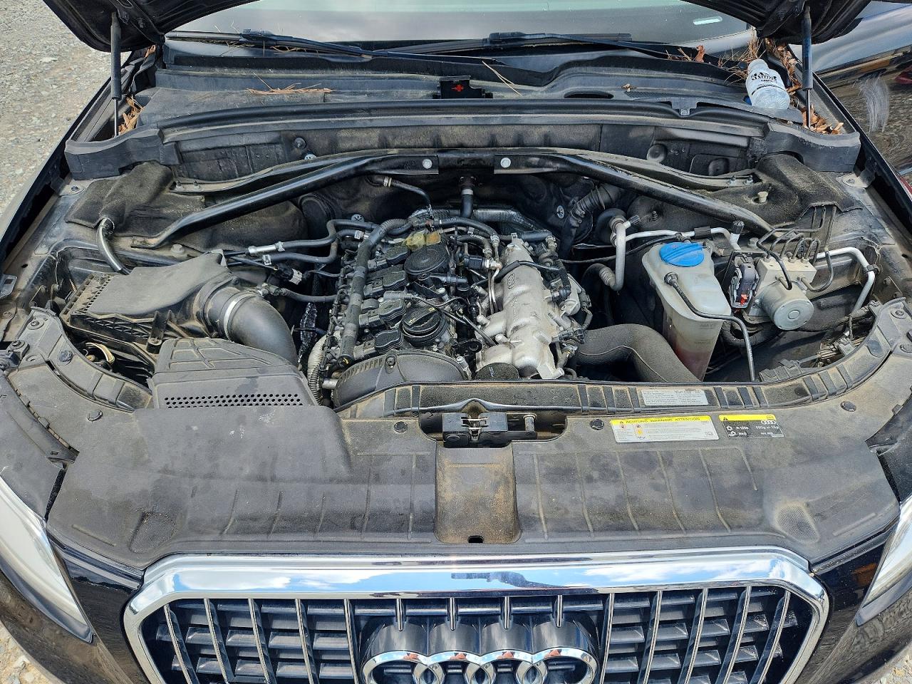 Audi Q5 Premium Plus