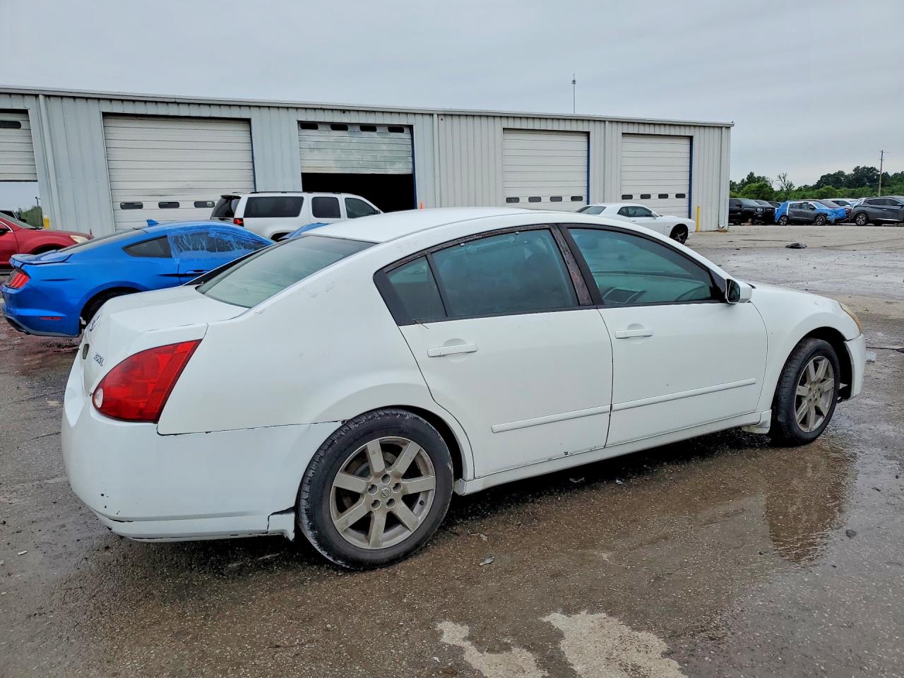Nissan Maxima 3.5 Se