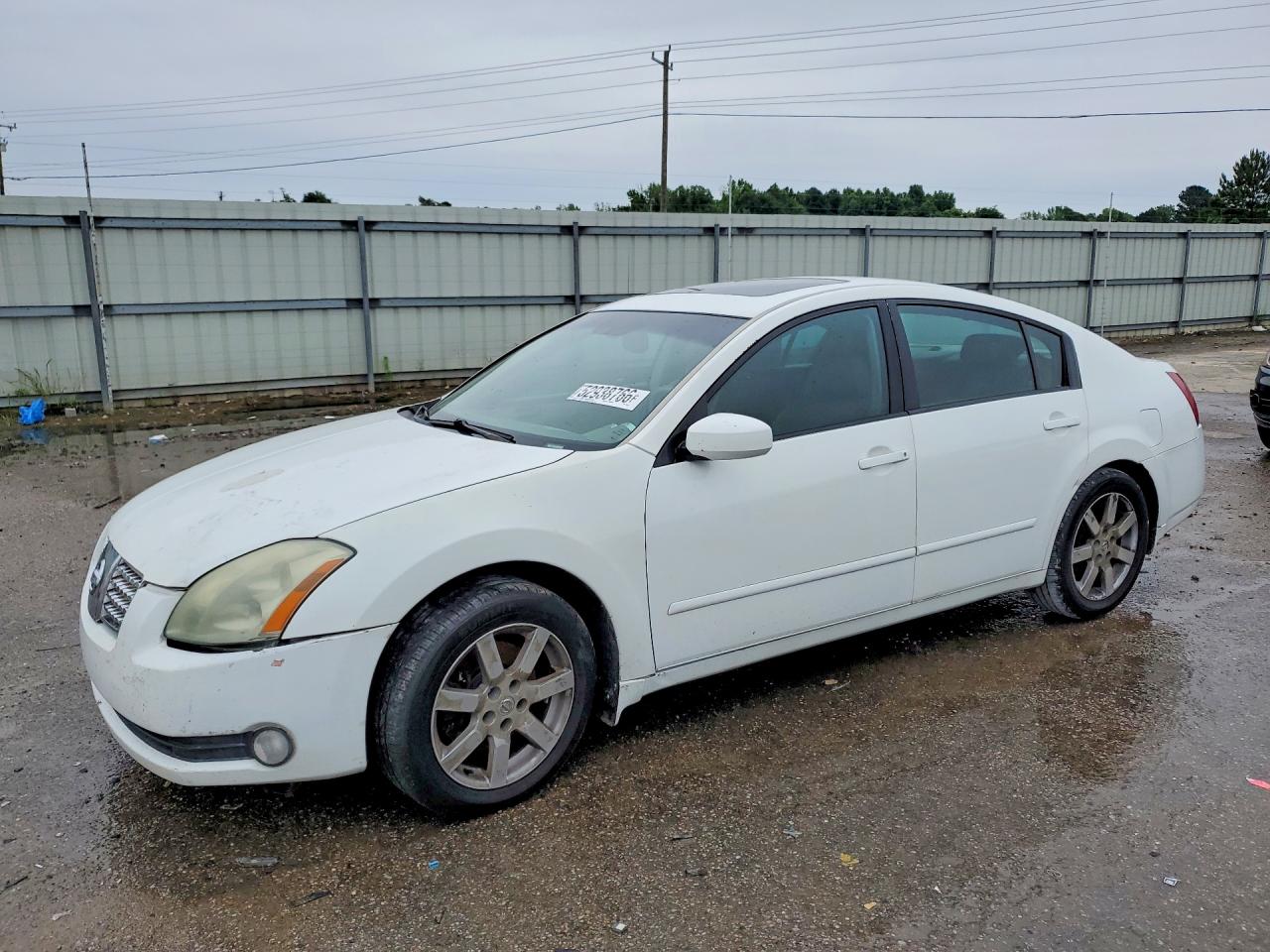 Salvage Nissan Maxima Image