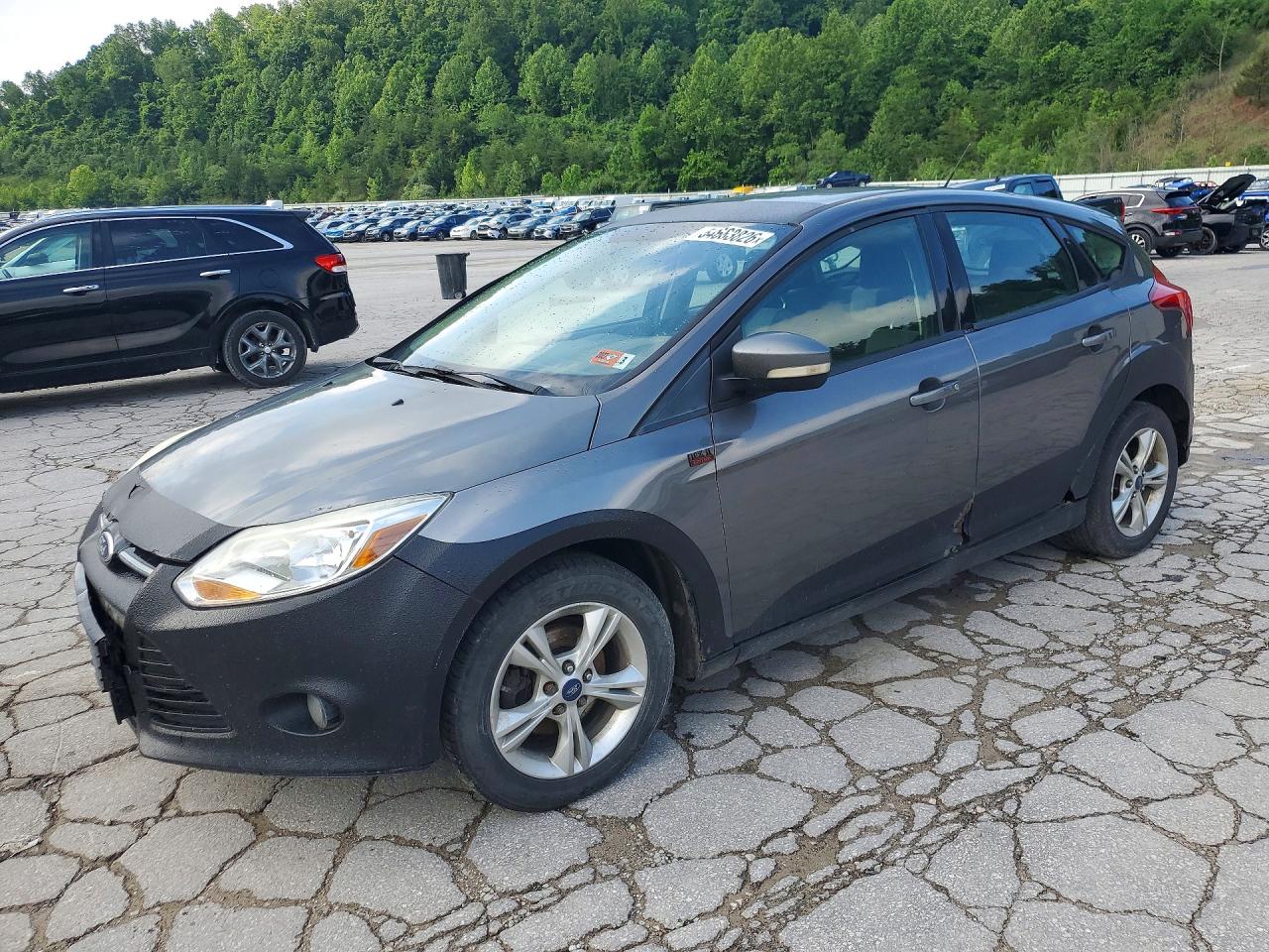 Salvage Ford Focus Image