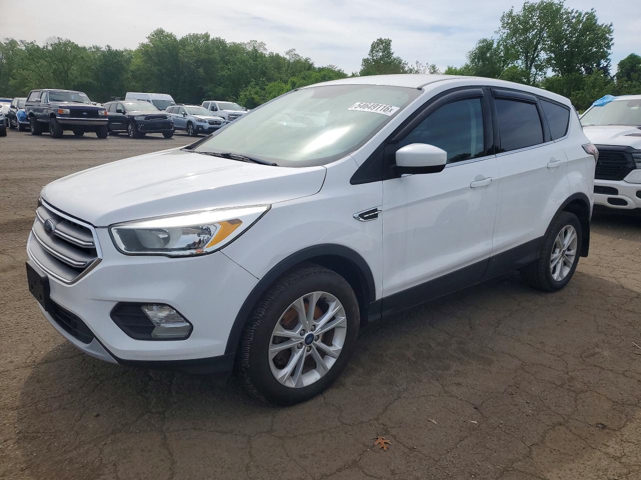 Salvage Ford Escape Image