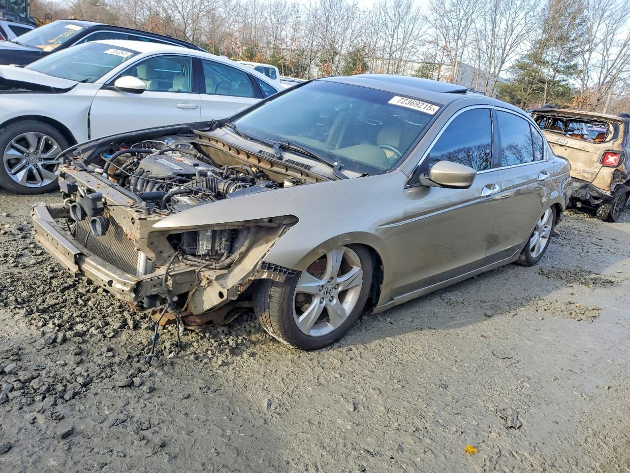 Salvage Honda Accord Image