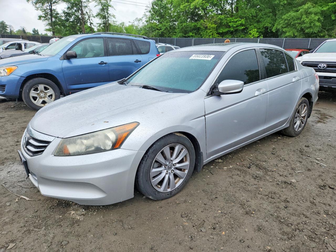 Salvage Honda Accord Image